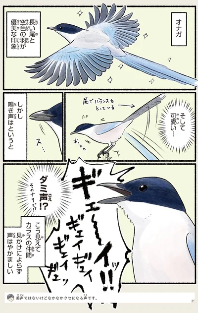 見かけによらず声はやかましい