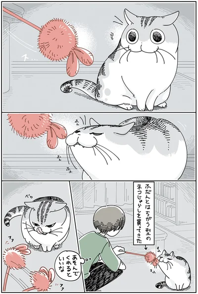 『夜は猫といっしょ5』より