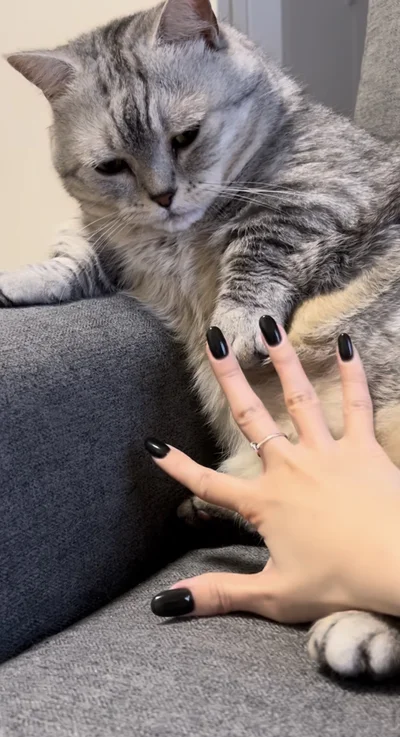 飼い主さんが「パー」と手を広げる▶もちくんの反応は…（⇒次へ）