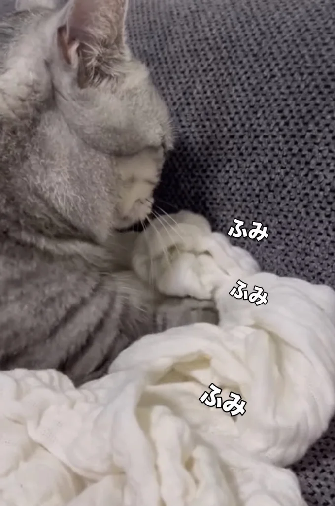 タオルをひたすら踏み続けている▶反対側も…(⇒次へ)