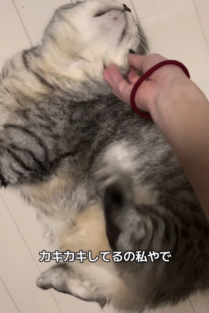 エアーかきかきしてる▶さっきまで夢中だったのに…(⇒次へ)