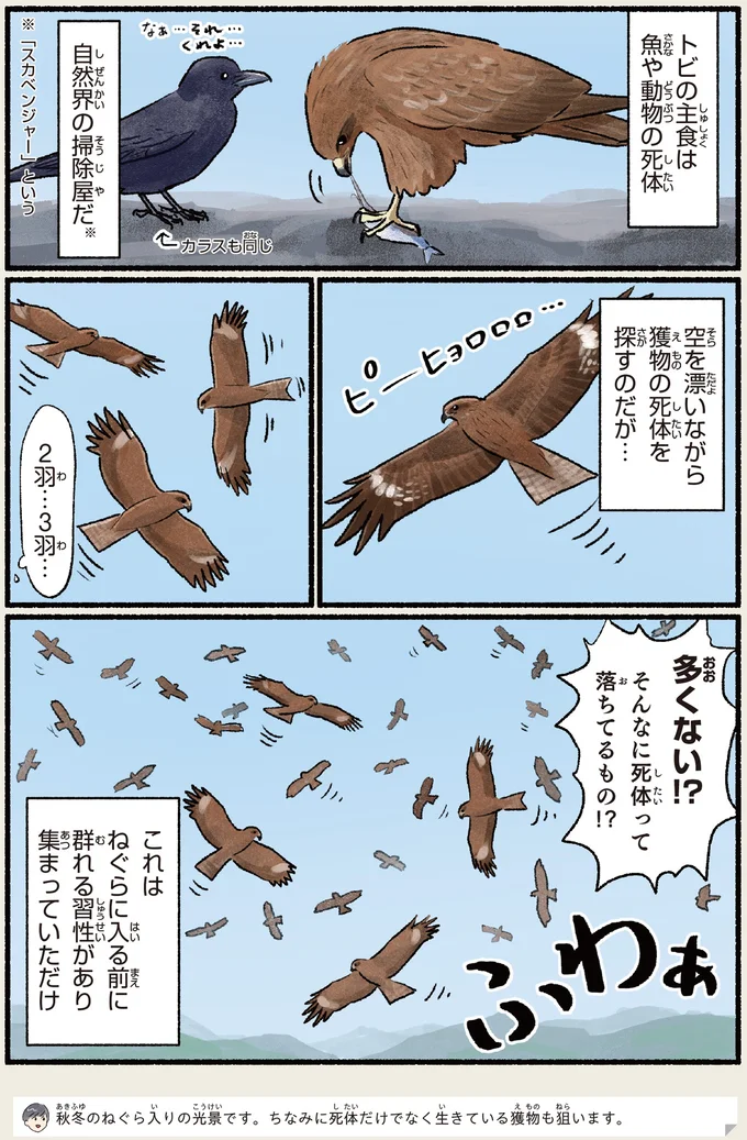 そんなに死体って落ちてるもの!?