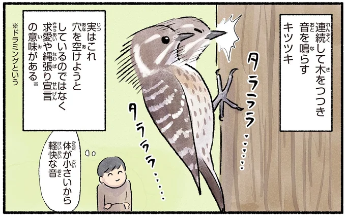 求愛や縄張り宣言の意味がある