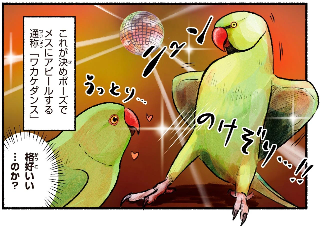 関東の一部で目撃多数！ やたら賑やかでトロピカルな鳥、ワカケホン