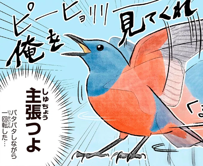 俺を見てくれ