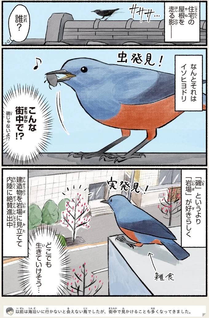 どこでも生きていけそう…