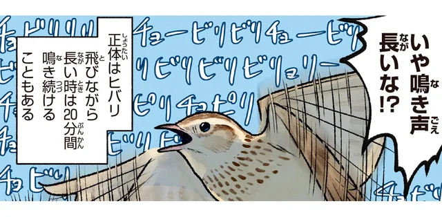 飛びながら、どれだけ鳴き続けられる？ ヒバリの驚きのスタミナに脱帽