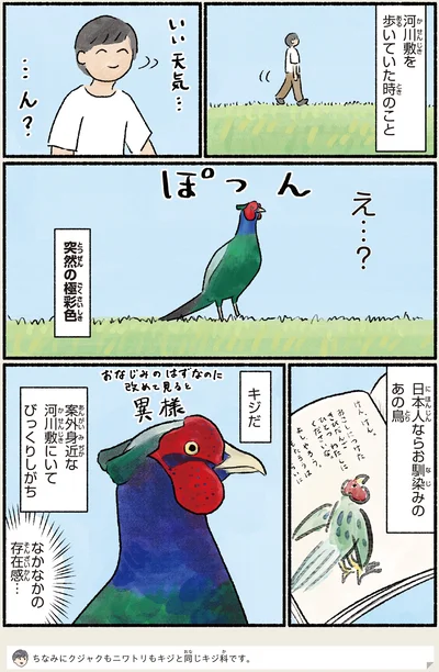突然の極彩色