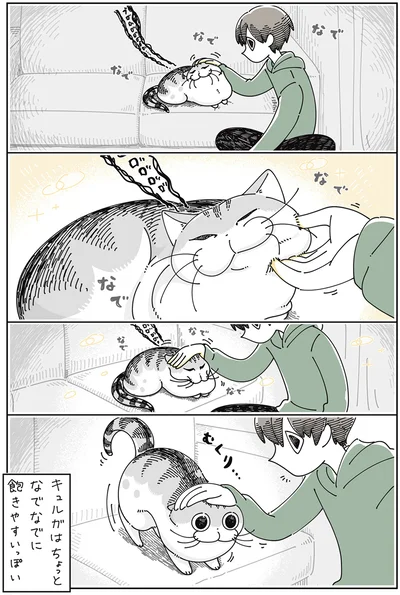 『夜は猫といっしょ 4』より