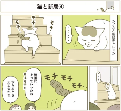 『うちの猫がまた変なことしてる。７』より
