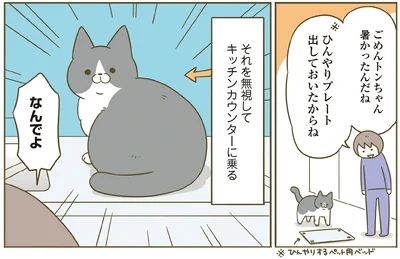 『うちの猫がまた変なことしてる。７』より