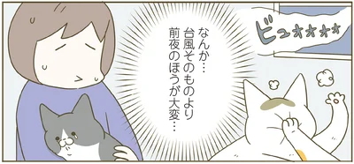 『うちの猫がまた変なことしてる。７』より