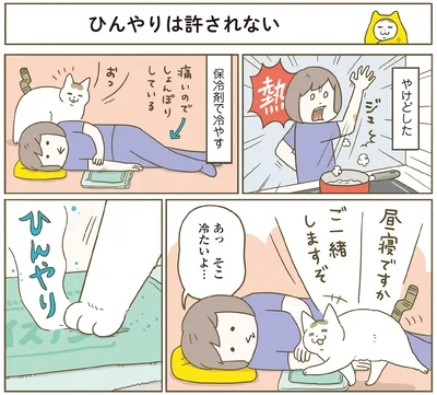 『うちの猫がまた変なことしてる。７』より