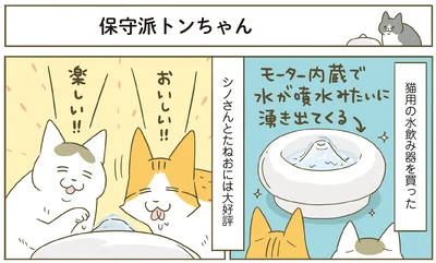 『うちの猫がまた変なことしてる。７』より