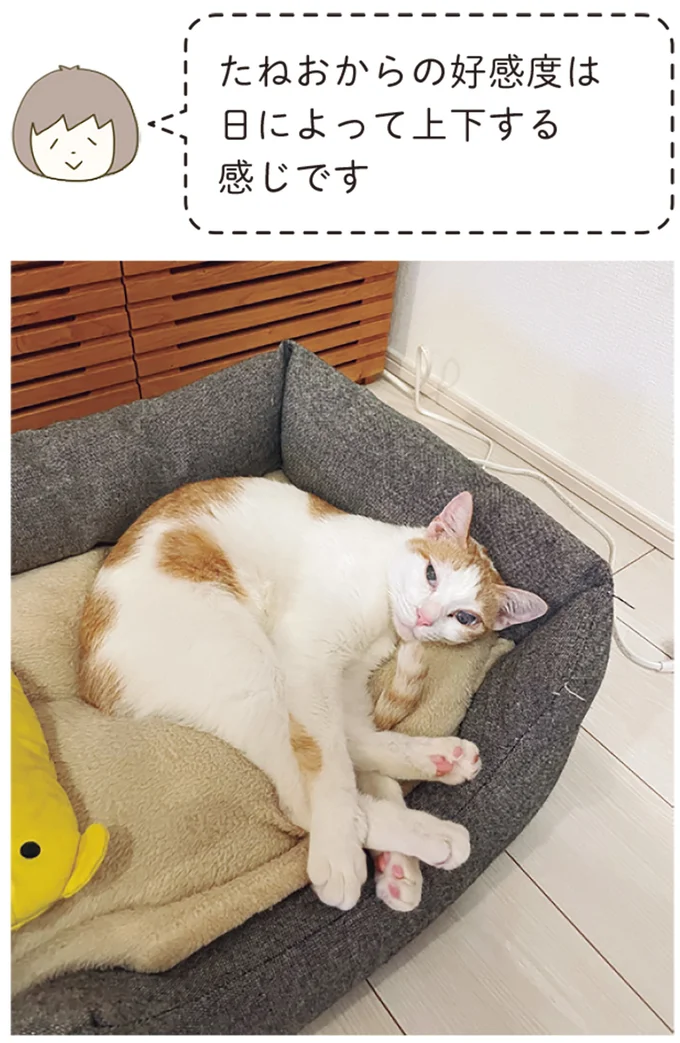 『うちの猫がまた変なことしてる。７』より