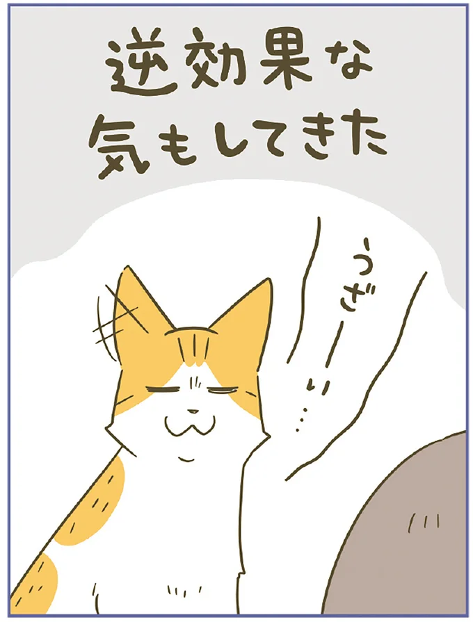 『うちの猫がまた変なことしてる。７』より
