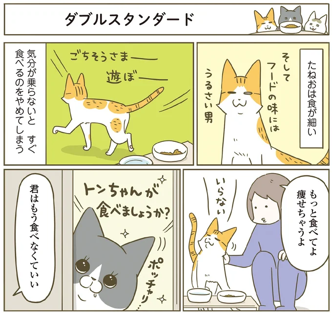 『うちの猫がまた変なことしてる。７』より