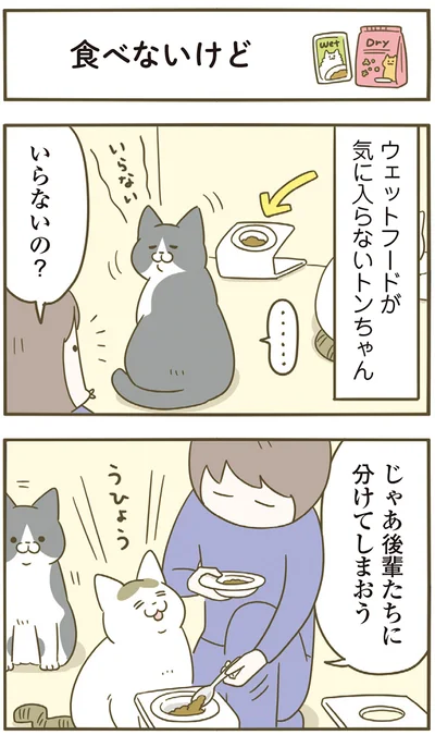 『うちの猫がまた変なことしてる。７』より