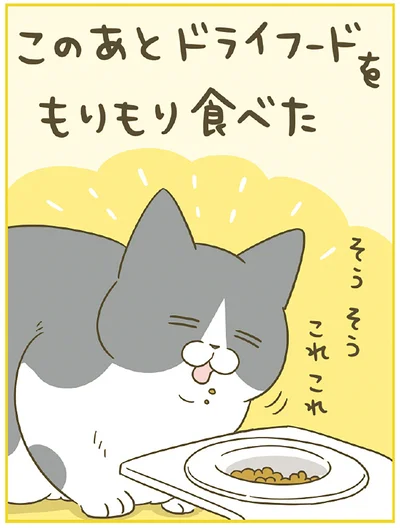 『うちの猫がまた変なことしてる。７』より