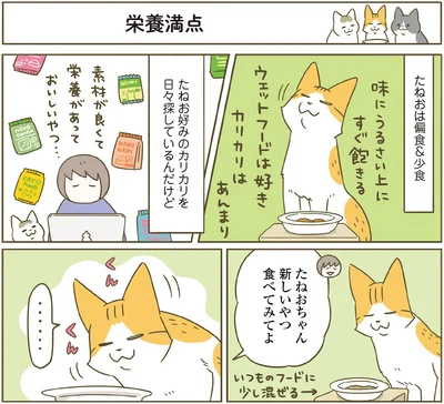 『うちの猫がまた変なことしてる。７』より