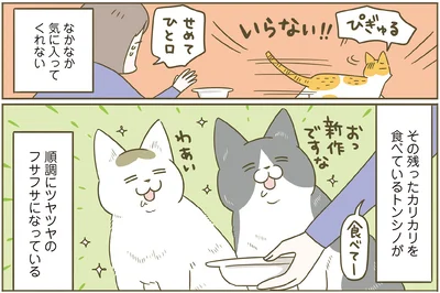 『うちの猫がまた変なことしてる。７』より