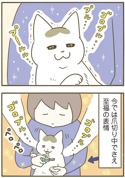 『うちの猫がまた変なことしてる。７』より