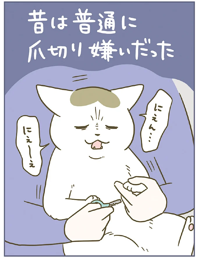 『うちの猫がまた変なことしてる。７』より