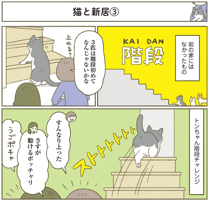 前の家にはなかった階段