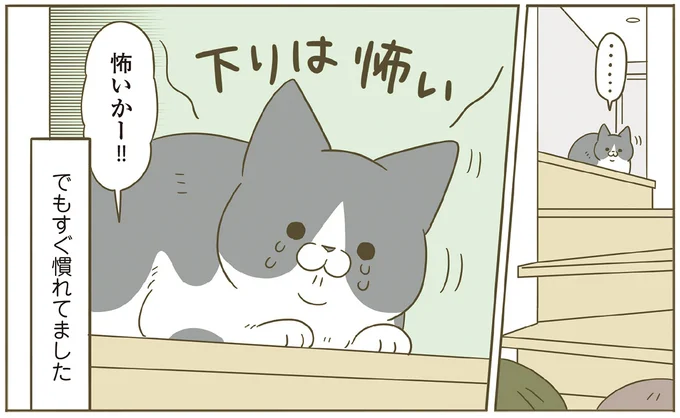 怖いかー!!