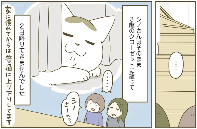 2日降りてきませんでした