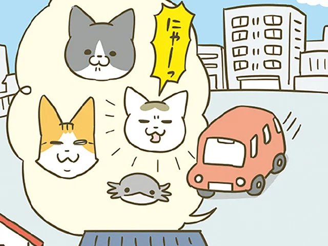 いざ新居へ！ 猫たちが早く新しい環境に馴染めるように、様々な工夫をしました