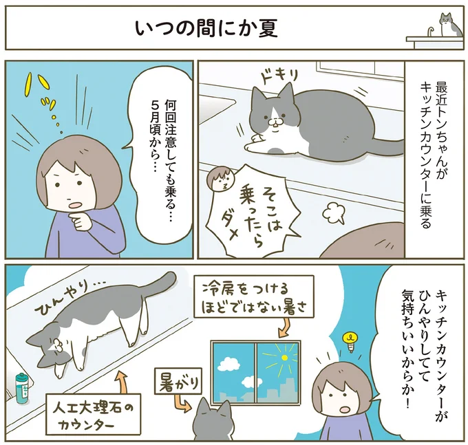 キッチンカウンターはひんやりしてて気持ちいい
