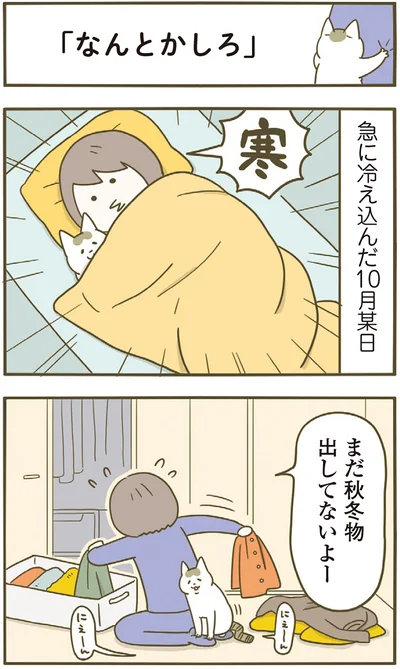 急に冷え込んだ10月某日