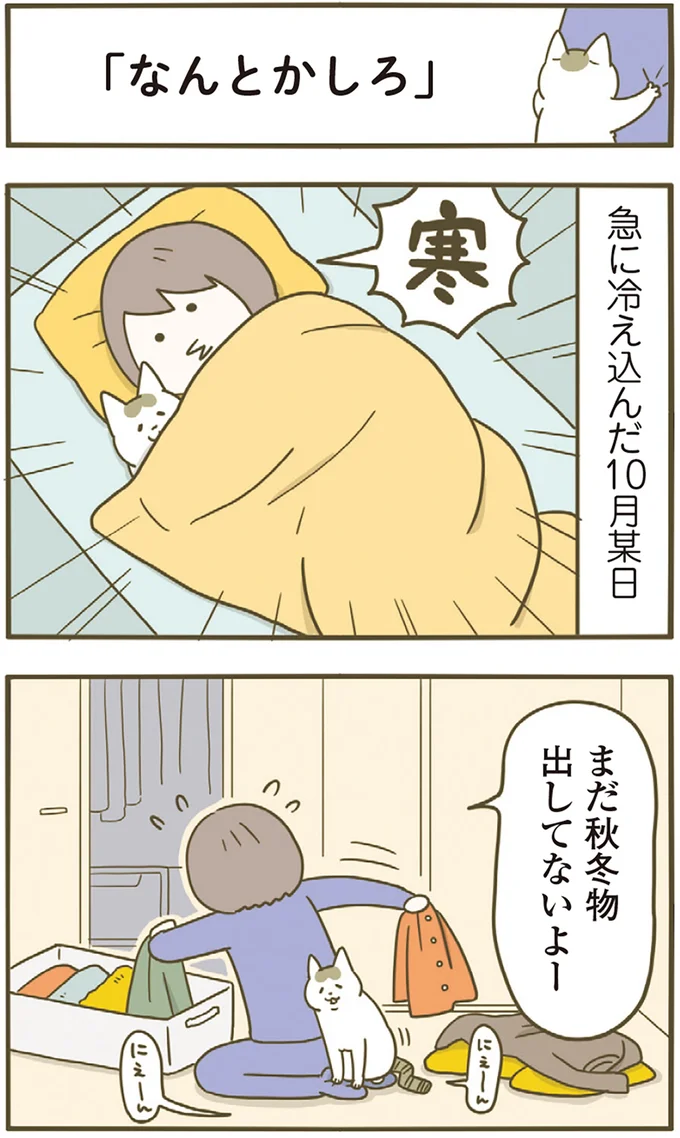 急に冷え込んだ10月某日
