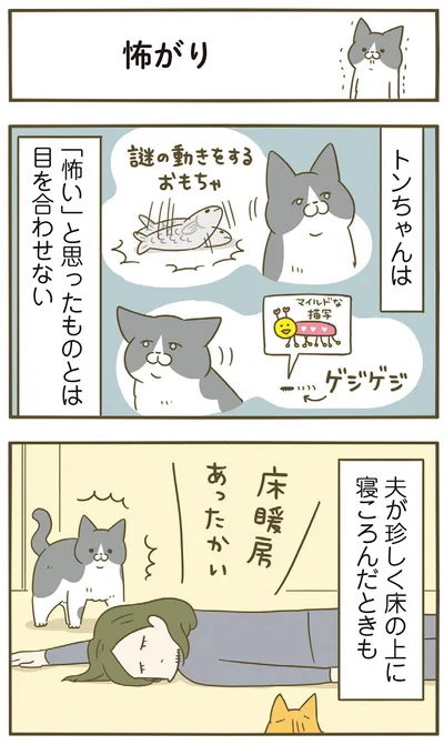 「怖い」と思ったものとは目を合わせないトンちゃん