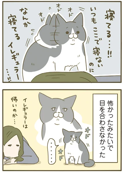 怖かったみたい