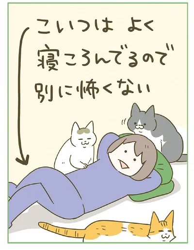 よく寝転んでいる飼い主は平気