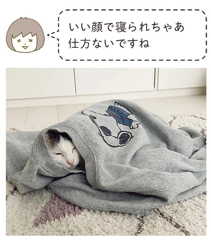 いい顔で寝られちゃあ仕方ない