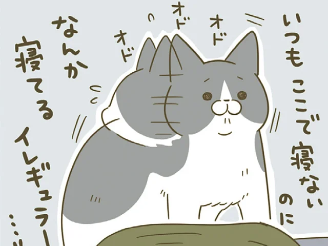「いつもここで寝ないのに」飼い主が床に転がってる!? イレギュラーが発生したときの猫