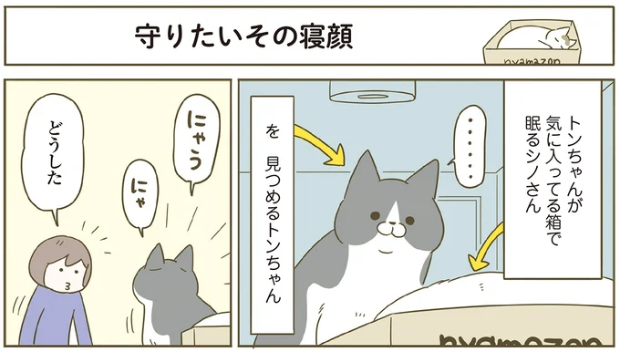 どうした