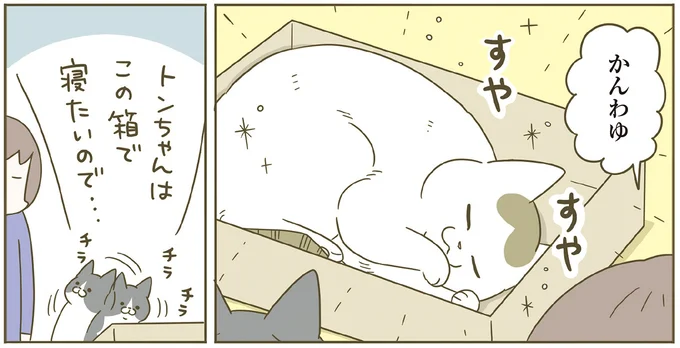 この箱で寝たいので…