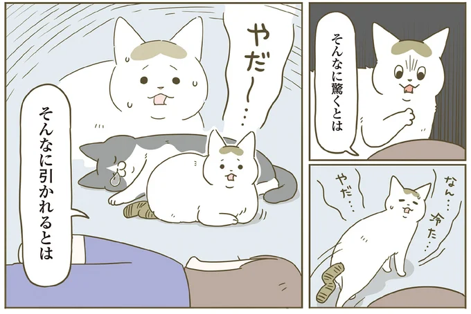 やだー…