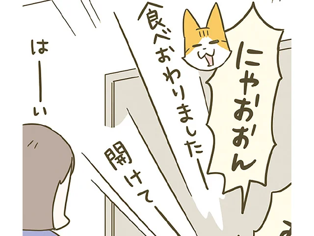 「ごはん食べ終わりました！」別室にいる飼い主に大声アピールする猫