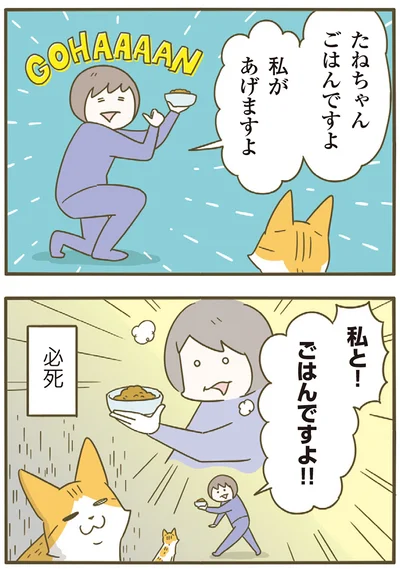 私と！ごはんですよ！！
