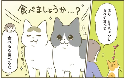 食べるな食べるな