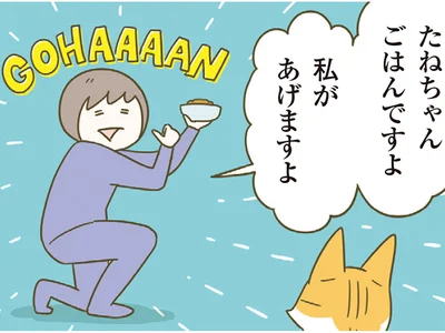 猫の愛情を受け取る作戦