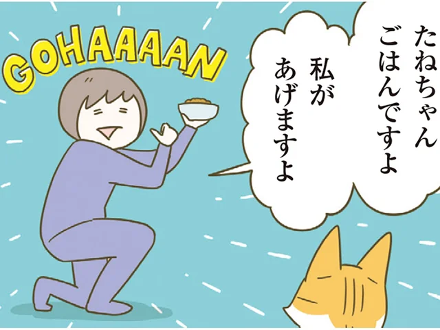 「好きなもの＋飼い主＝好き」になってもらいたい。猫の愛情を受け取る作戦、決行！