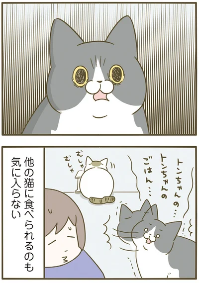 他の猫に食べられるのも気に入らない