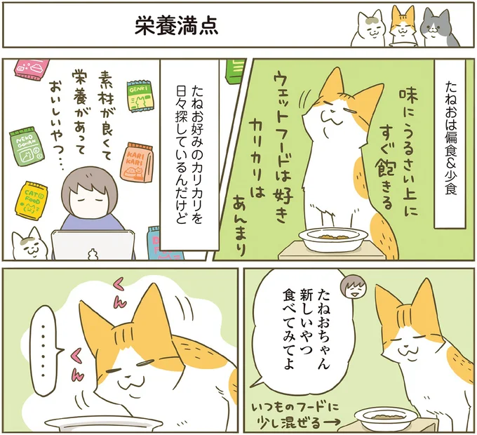 新しいおやつ食べてみてよ