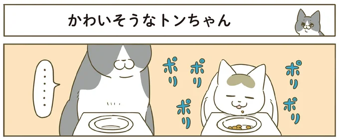 ポリポリ